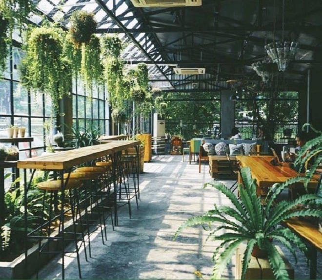 Không gian cafe tràn ngập cây xanh