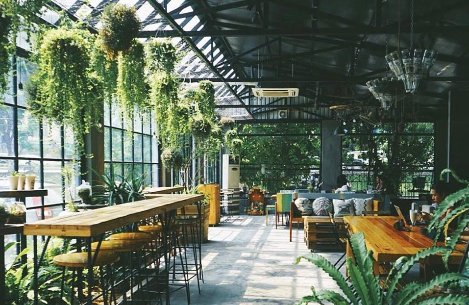 Cafe hẹn hò Hà Nội - Cafe sân vườn