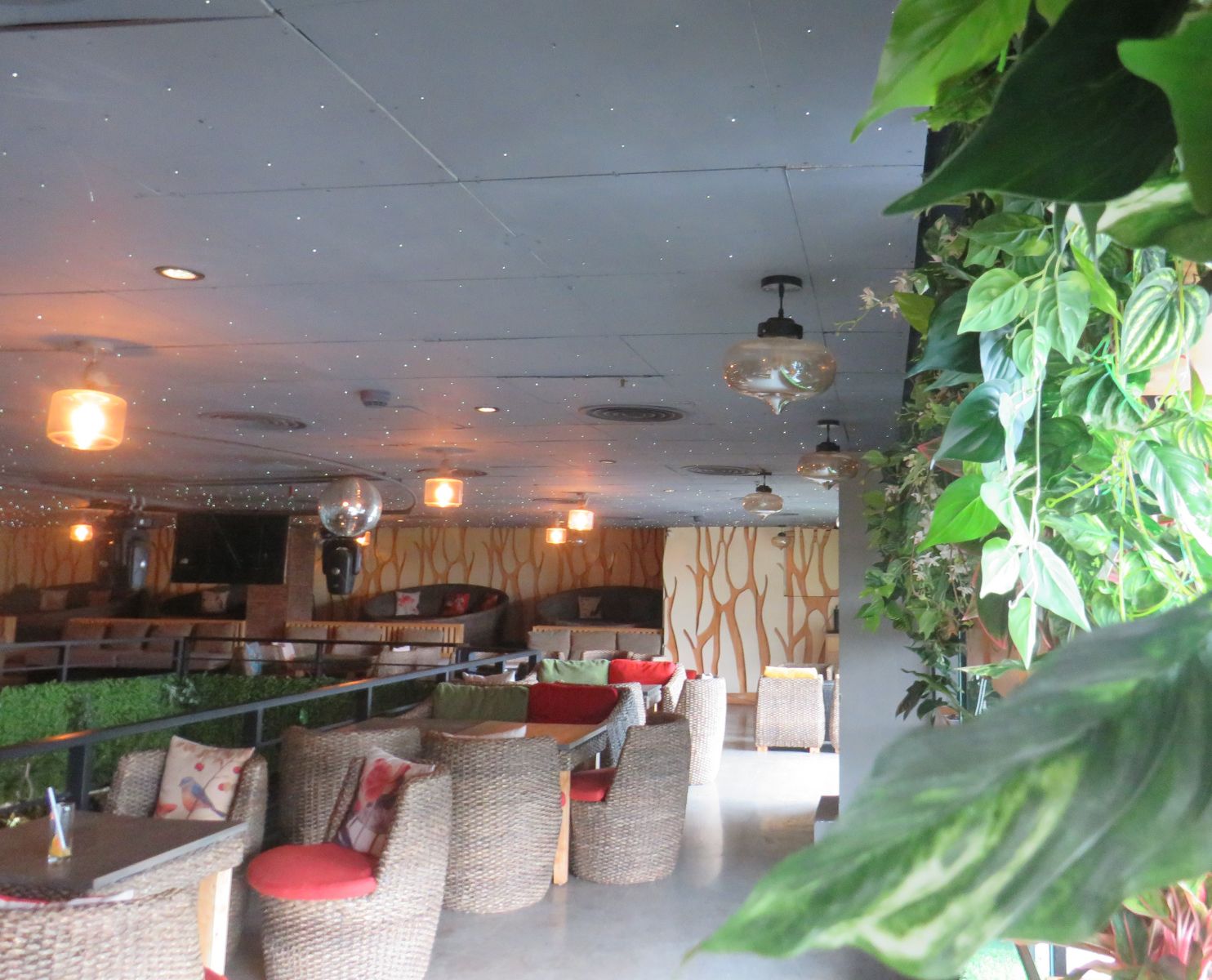Top 4 quán cafe yên tĩnh ở Hà Nội có wifi “căng đét”